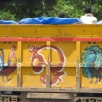 Rooster and peacock truck...