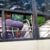 Watching from the bus