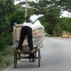 Large delivery...