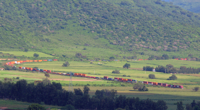Un train traverse le "paysage". Dans les environs de la ville.